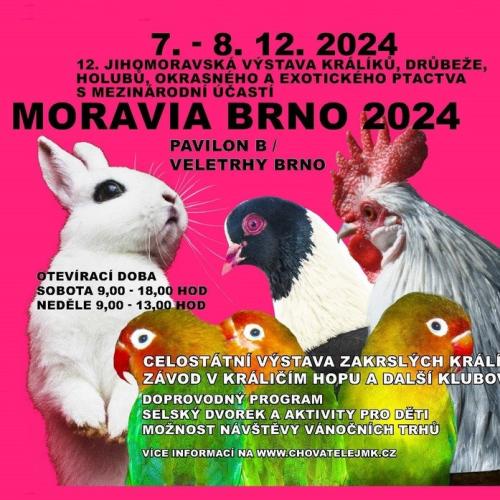 Moravia Brno 2024