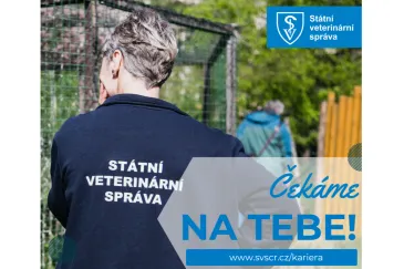 SVS ČR - nabídka práce pro absolventy