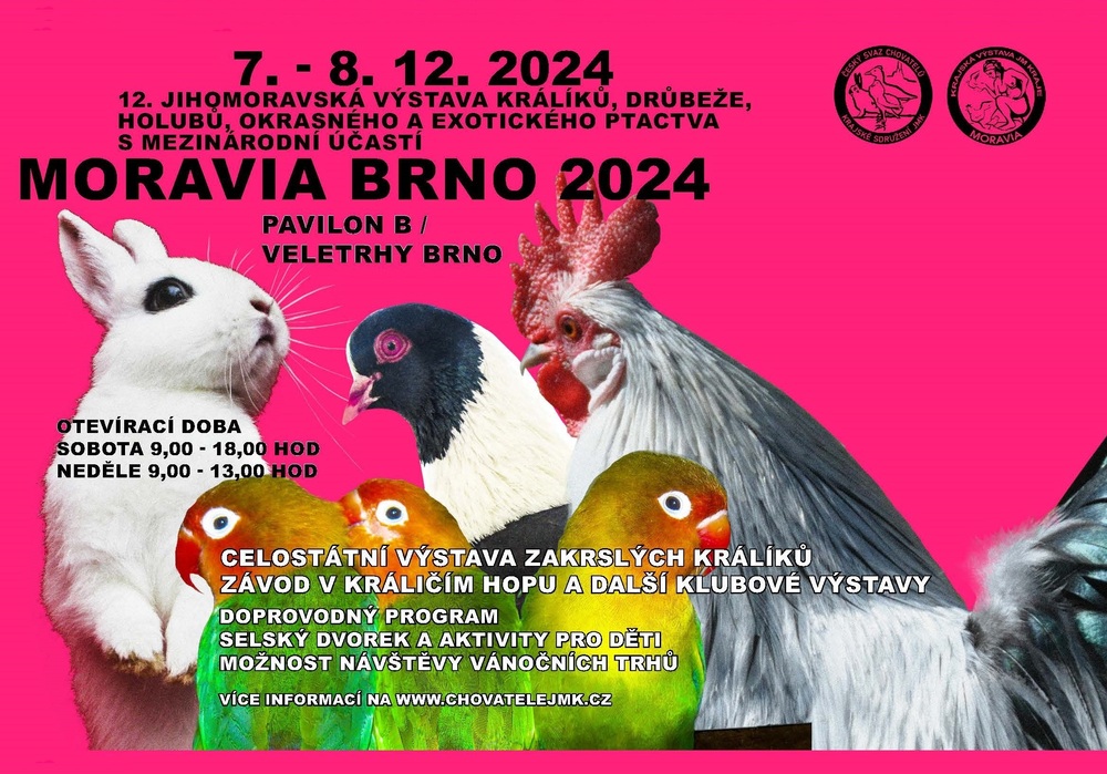 Moravia Brno 2024